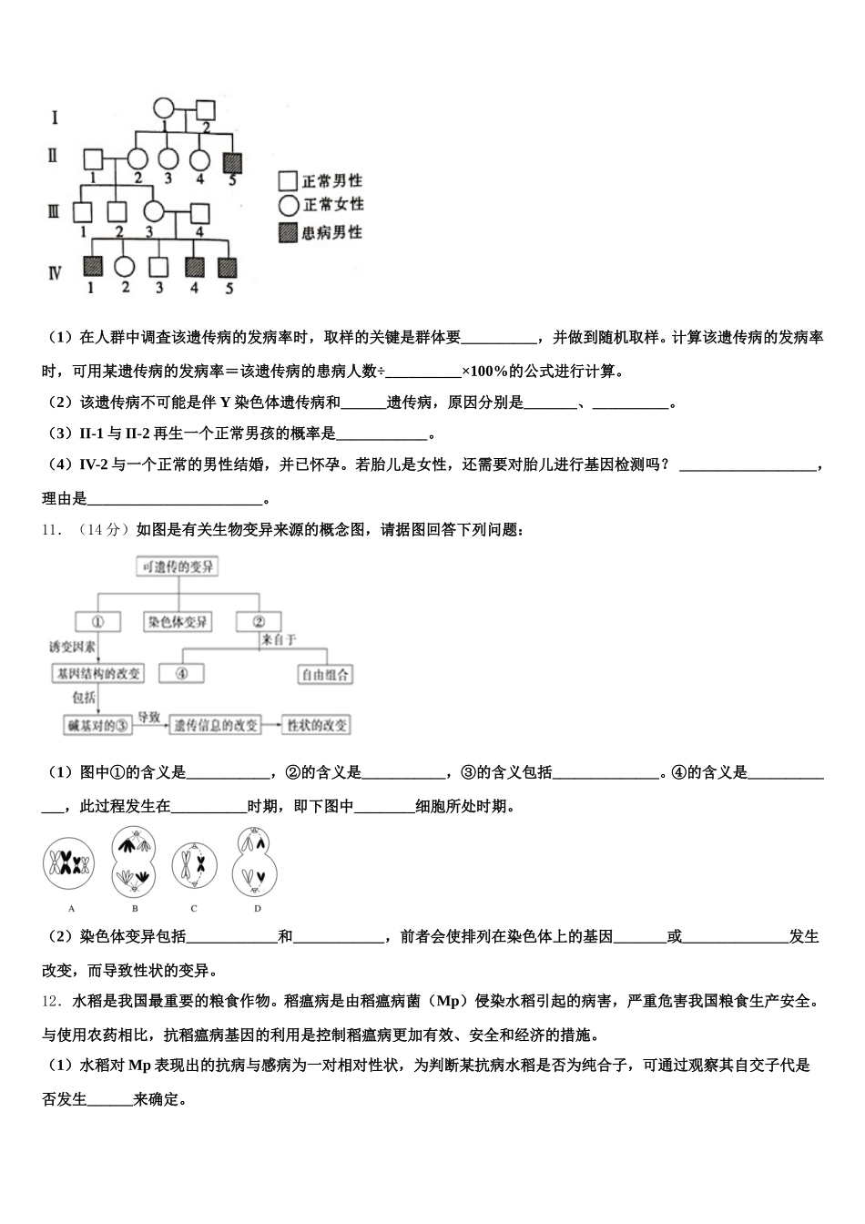 2024-2025学年阜新市重点中学高一下生物期末统考模拟试题含解析_第3页
