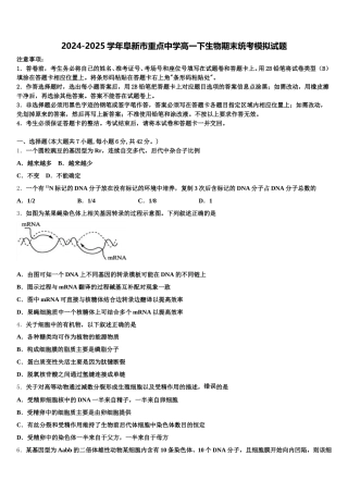 2024-2025学年阜新市重点中学高一下生物期末统考模拟试题含解析