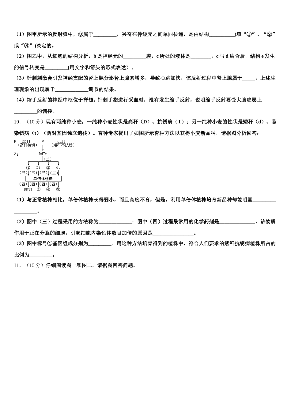2025届辽阳市重点中学高一下生物期末联考试题含解析_第3页