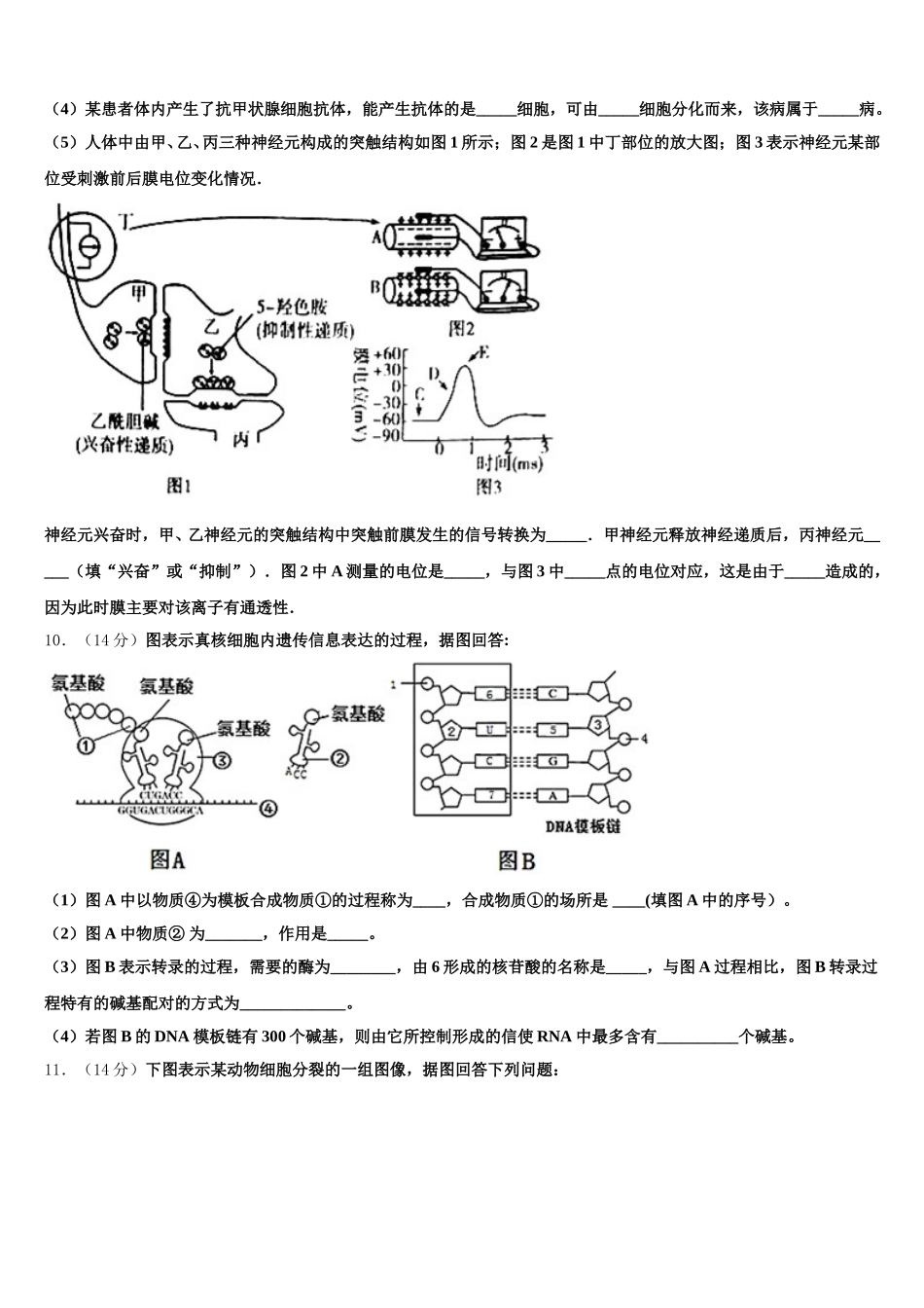 辽宁省凌源市第三高级中学2025年高一生物第二学期期末复习检测试题含解析_第3页