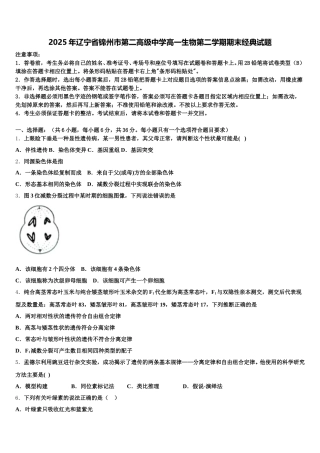 2025年辽宁省锦州市第二高级中学高一生物第二学期期末经典试题含解析