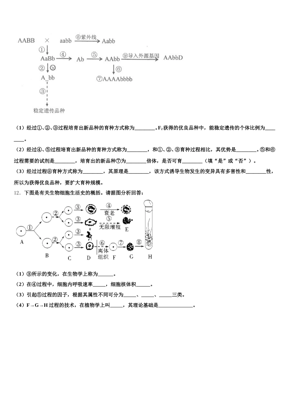 2024-2025学年辽宁省盘锦市兴隆台区辽河油田二中生物高一下期末检测模拟试题含解析_第3页