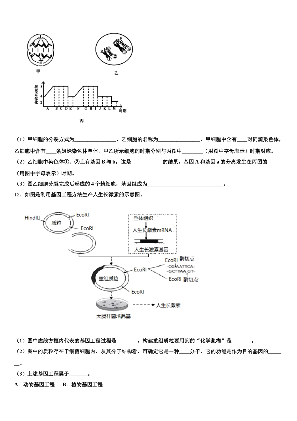 2024-2025学年阜新市重点中学高一下生物期末质量跟踪监视试题含解析_第3页