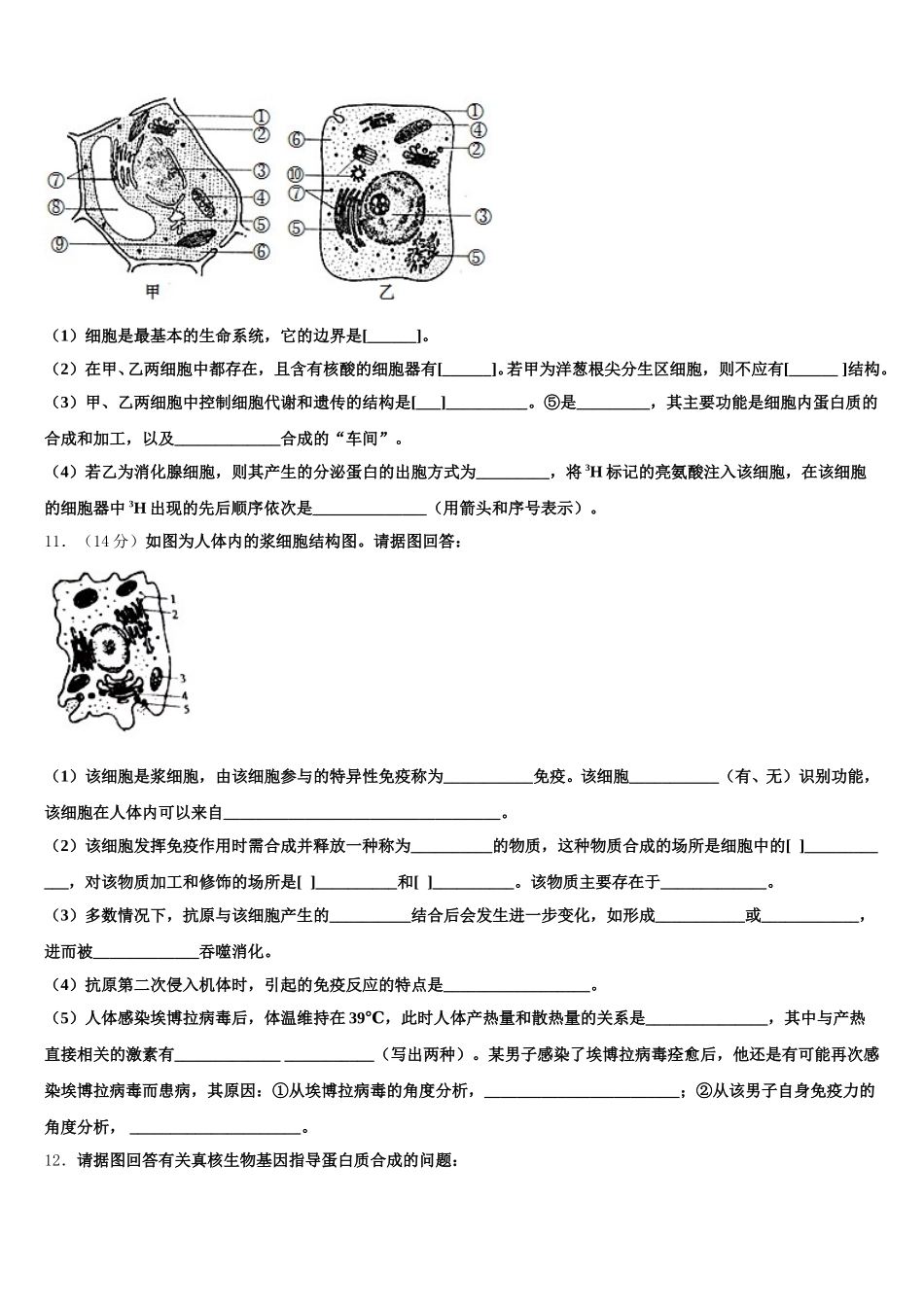 优质金卷：辽宁省实验中学、大连八中、大连二十四中、鞍山一中、东北育才学校2025届生物高一第二学期期末综合测试模拟试题含解析_第3页