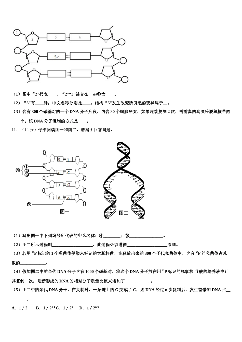 2025年辽宁抚顺市六校联合体高一下生物期末监测试题含解析_第3页