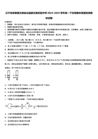 辽宁省阜新蒙古族自治县蒙古族实验中学2024-2025学年高一下生物期末质量检测模拟试题含解析