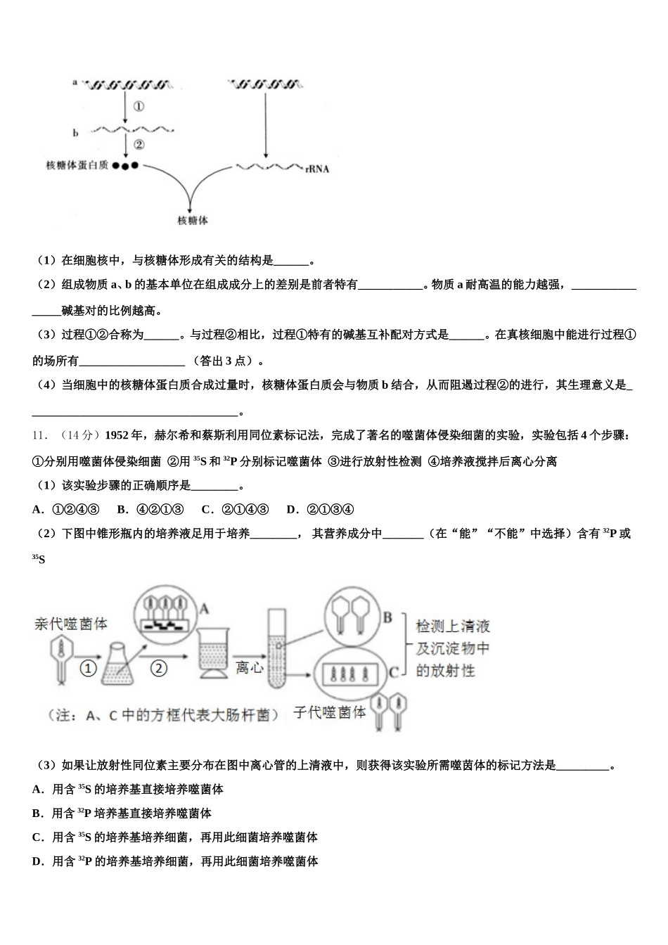 2024-2025学年大连市第二十四中学高一生物第二学期期末达标检测试题含解析_第3页