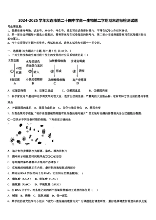 2024-2025学年大连市第二十四中学高一生物第二学期期末达标检测试题含解析