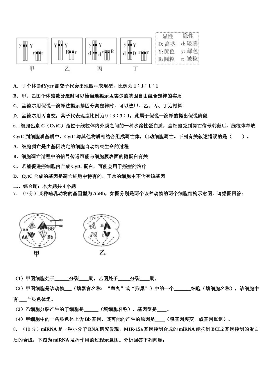 2025届辽宁省本溪中学高一下生物期末调研模拟试题含解析_第2页