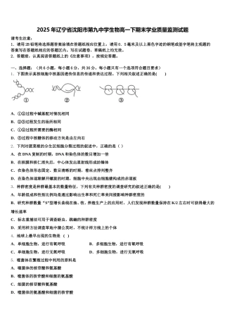 2025年辽宁省沈阳市第九中学生物高一下期末学业质量监测试题含解析