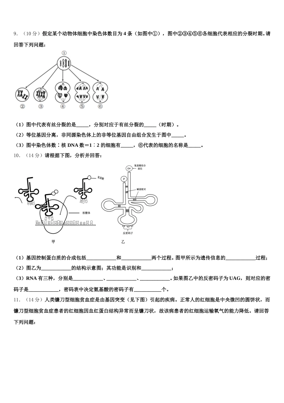 辽宁省丹东市凤城市2025年生物高一下期末监测模拟试题含解析_第3页
