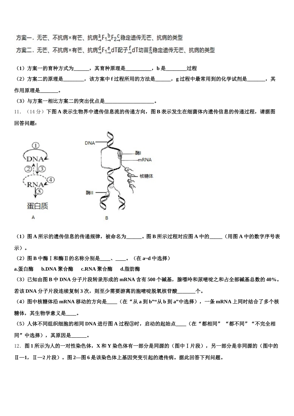 2024-2025学年辽宁省丹东市凤城市高一下生物期末统考模拟试题含解析_第3页