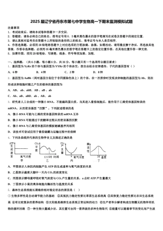 2025届辽宁省丹东市第七中学生物高一下期末监测模拟试题含解析