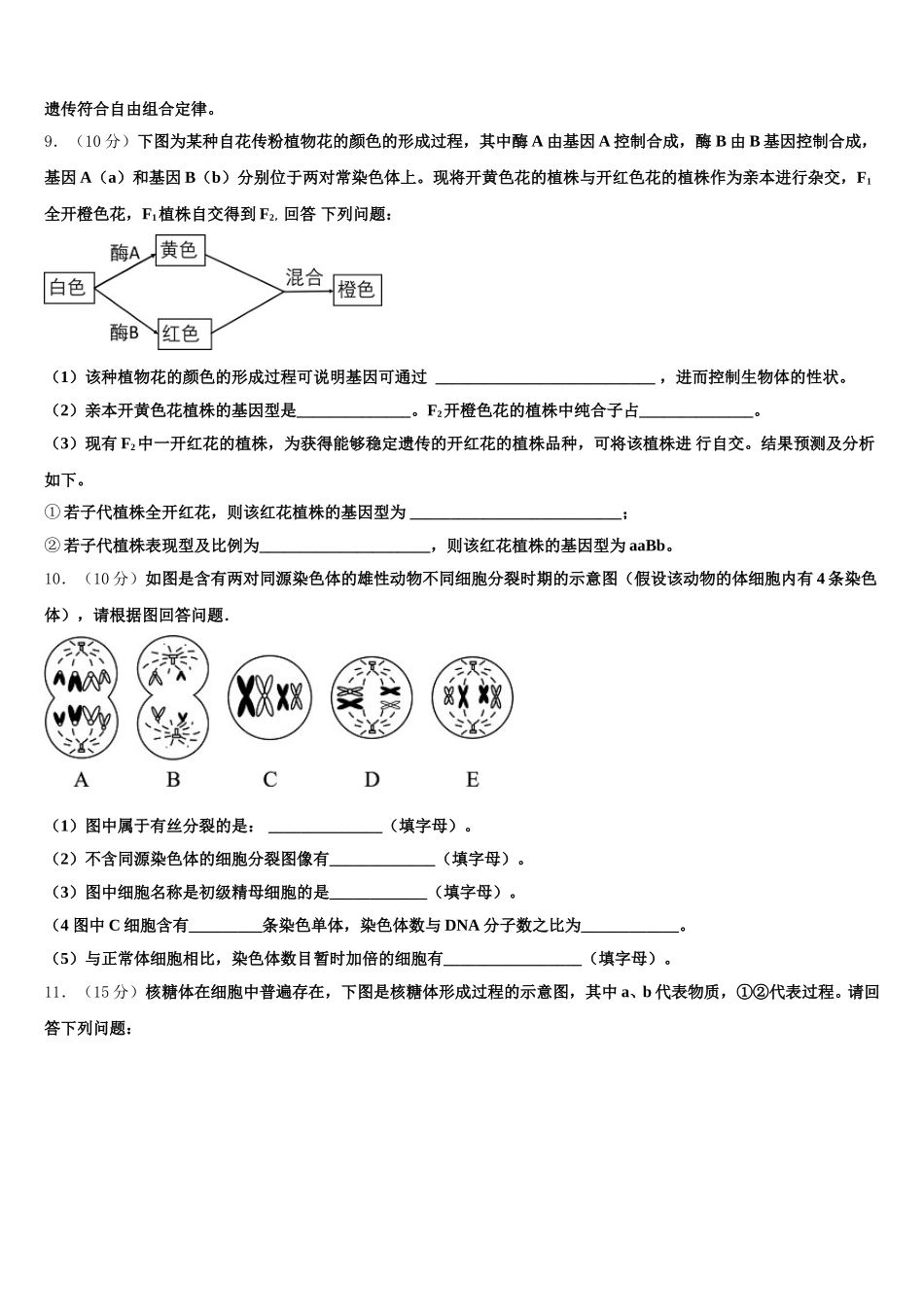 辽宁省丹东市凤城市通远堡高级中学2024-2025学年高一生物第二学期期末教学质量检测模拟试题含解析_第3页