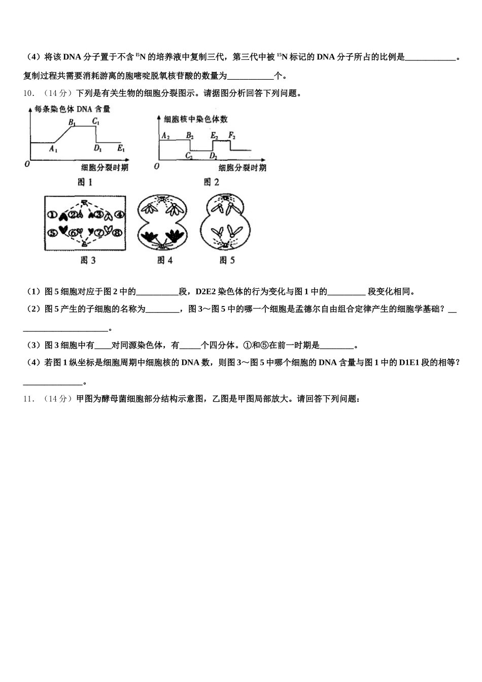 辽宁省沈阳市第三十一中学2025年生物高一下期末检测试题含解析_第3页