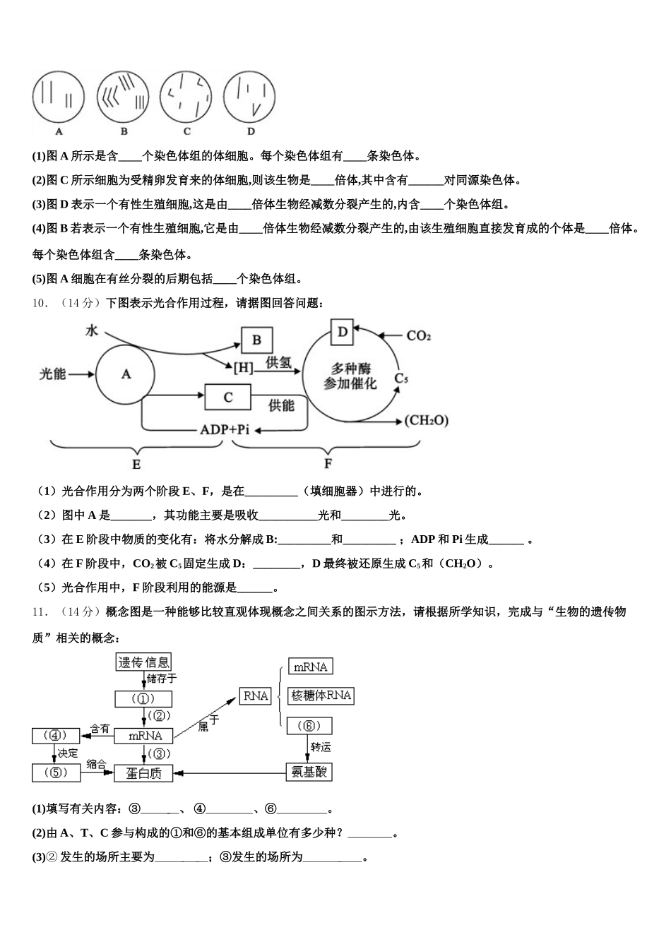 辽宁省葫芦岛市八中2025届高一下生物期末考试模拟试题含解析_第3页