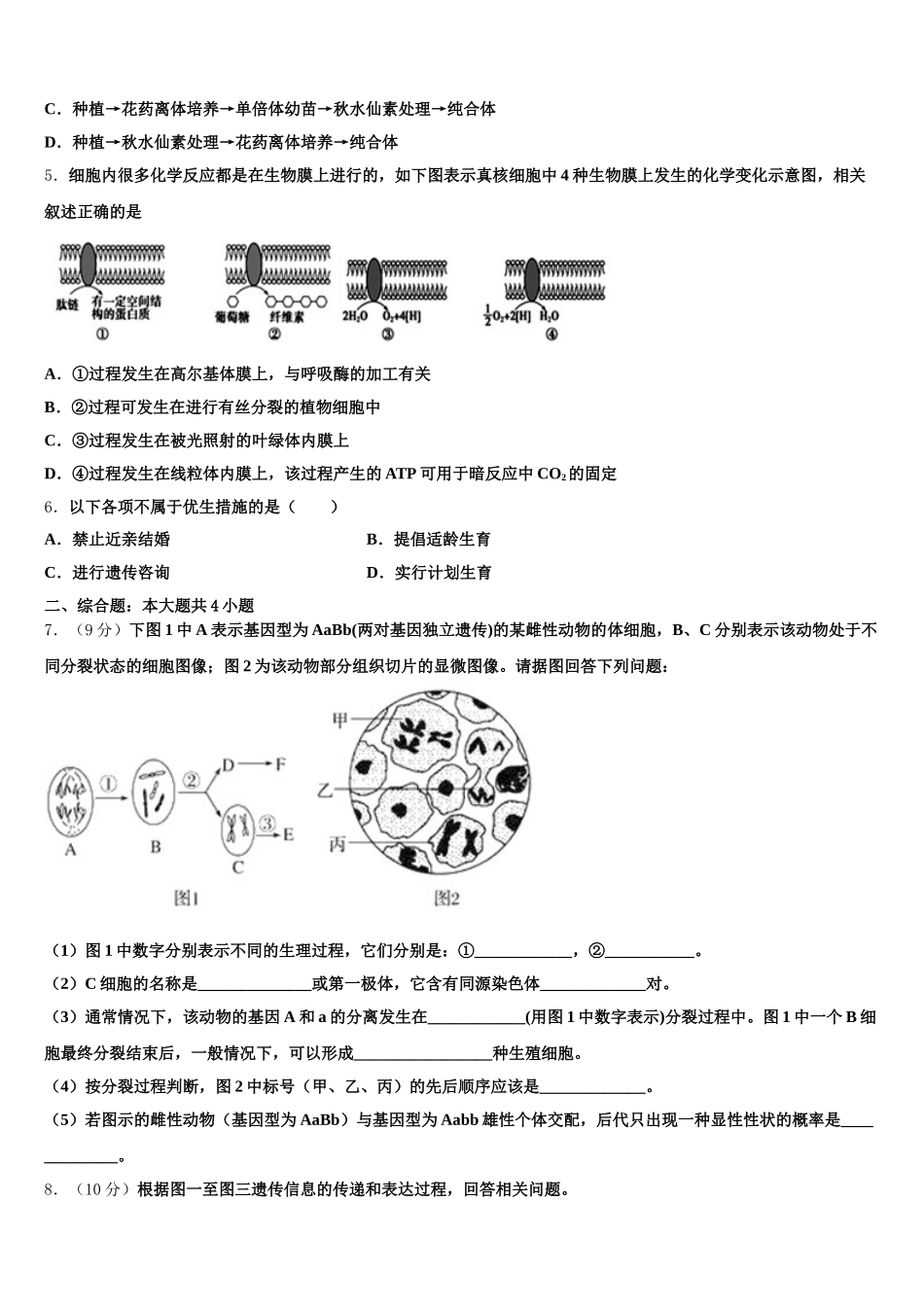 辽宁省抚顺十中2025届生物高一下期末经典试题含解析_第2页