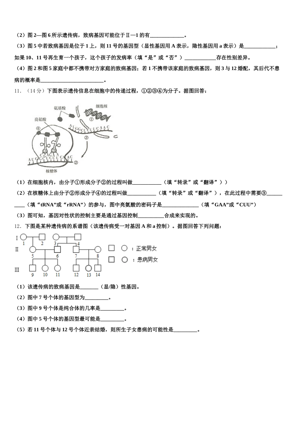 2025届辽宁省阜新市实验中学高一生物第二学期期末统考模拟试题含解析_第3页