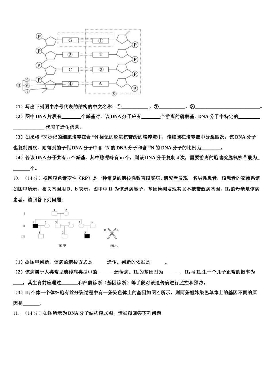 2025年大连市重点中学高一下生物期末预测试题含解析_第3页