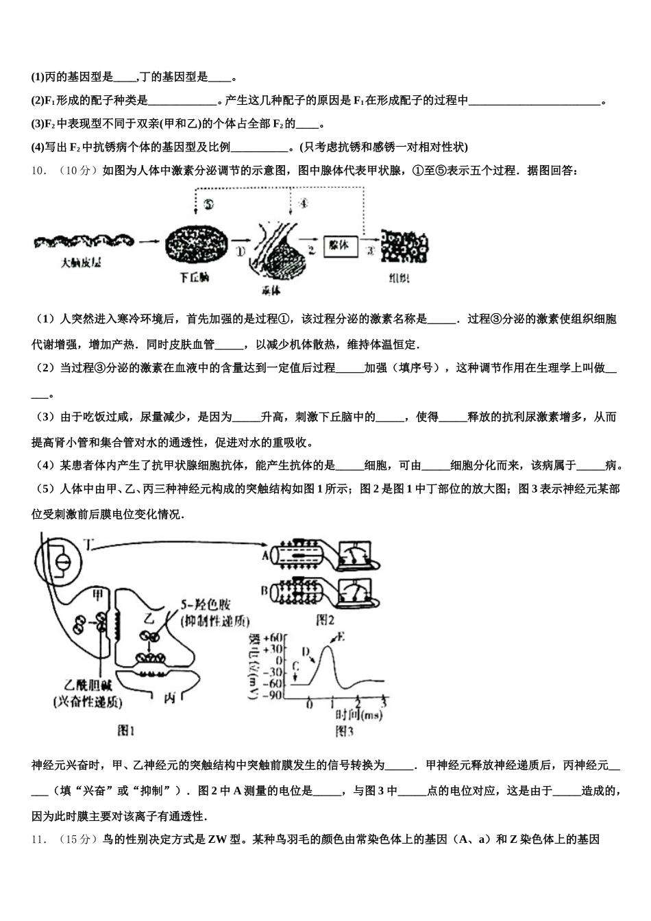 2025年辽宁省葫芦岛市锦化高中生物高一下期末复习检测模拟试题含解析_第3页