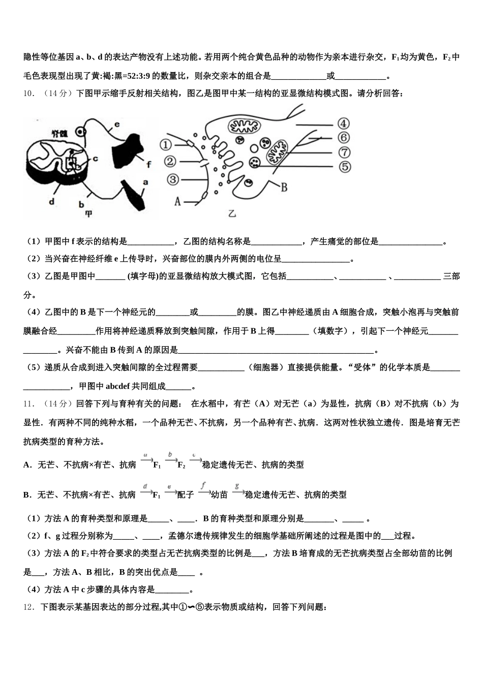 2024-2025学年辽宁省沈阳市实验中学生物高一第二学期期末联考试题含解析_第3页