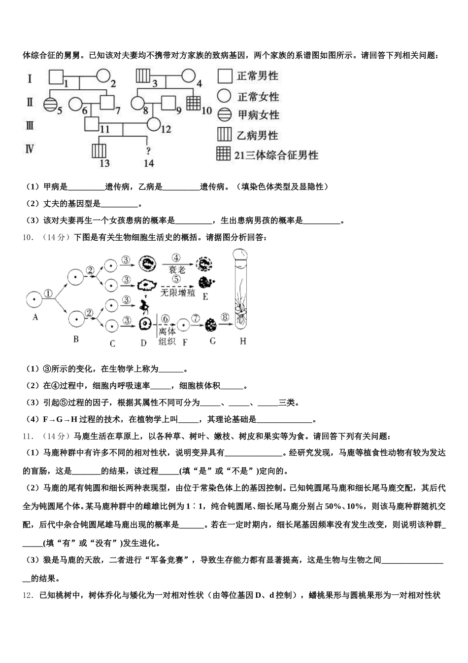 2024-2025学年辽宁省大连大世界高中高一下生物期末统考试题含解析_第3页