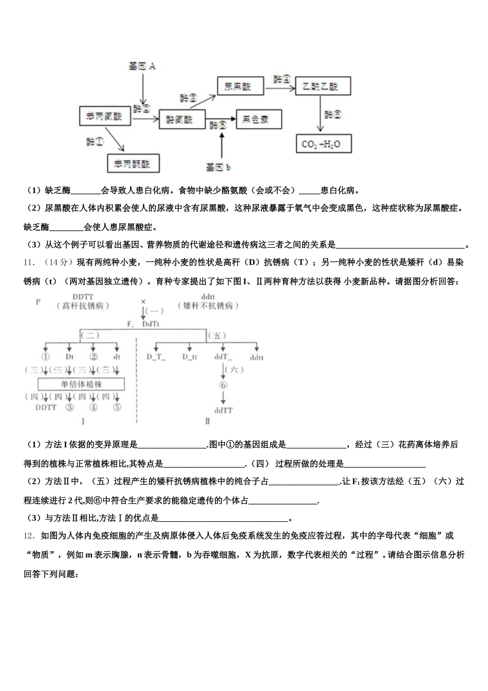 辽宁省瓦房店高级中学2025年高一生物第二学期期末教学质量检测模拟试题含解析_第3页