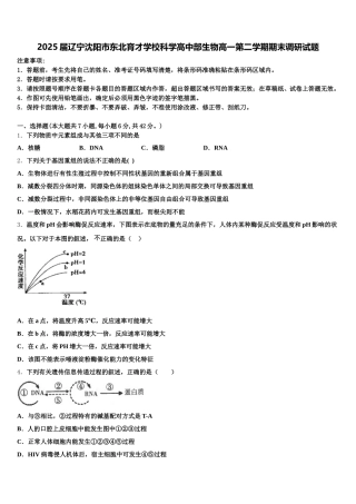 2025届辽宁沈阳市东北育才学校科学高中部生物高一第二学期期末调研试题含解析