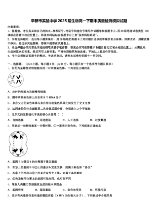 阜新市实验中学2025届生物高一下期末质量检测模拟试题含解析