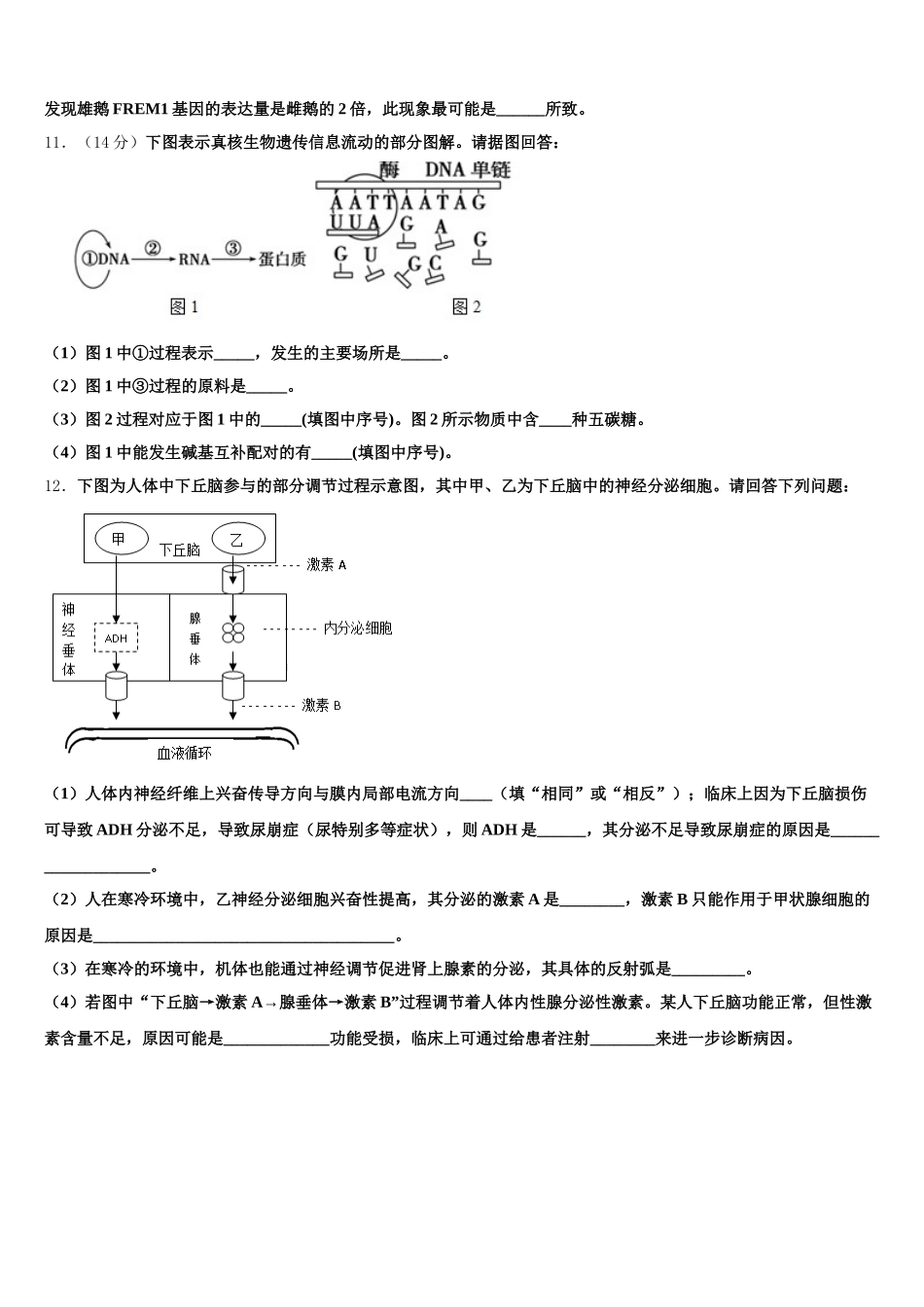 2025年辽宁省抚顺市六校高一下生物期末复习检测模拟试题含解析_第3页