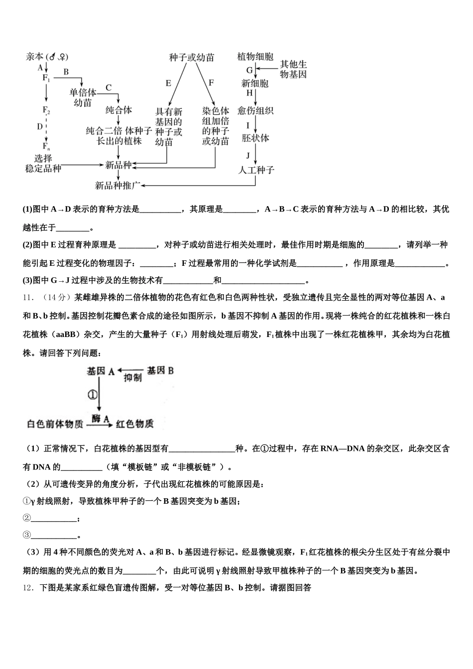 铁岭市重点中学2025届生物高一第二学期期末质量跟踪监视模拟试题含解析_第3页
