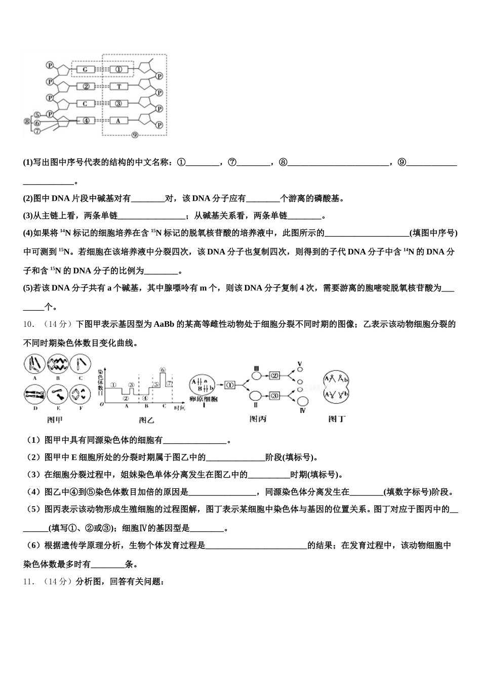 辽宁沈阳市郊联体2024-2025学年生物高一第二学期期末学业水平测试模拟试题含解析_第3页