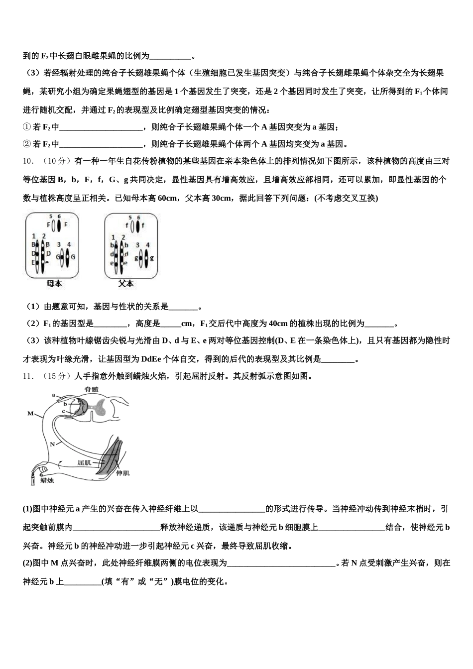 2025年辽宁省凌源市第三中学生物高一下期末经典模拟试题含解析_第3页