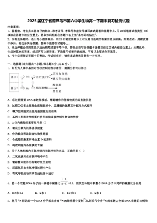 2025届辽宁省葫芦岛市第六中学生物高一下期末复习检测试题含解析