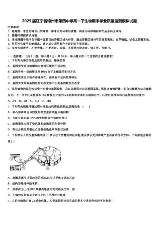 2025届辽宁省锦州市第四中学高一下生物期末学业质量监测模拟试题含解析