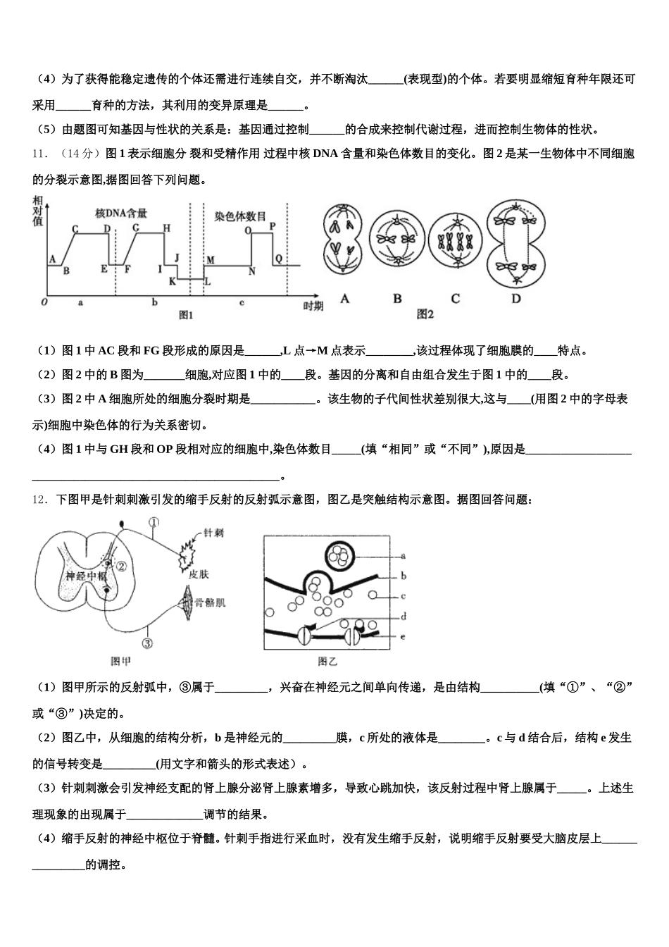 辽宁省抚顺市东洲区抚顺十中2025届生物高一第二学期期末统考试题含解析_第3页