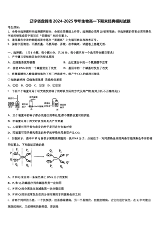 辽宁省盘锦市2024-2025学年生物高一下期末经典模拟试题含解析
