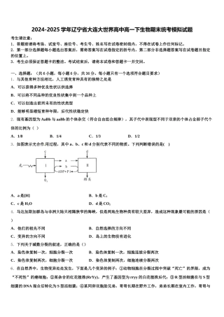 2024-2025学年辽宁省大连大世界高中高一下生物期末统考模拟试题含解析