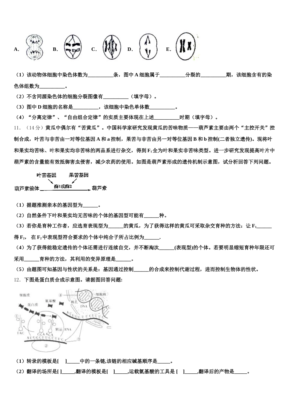 2025年辽宁省沈阳二中、抚顺二中生物高一下期末联考试题含解析_第3页