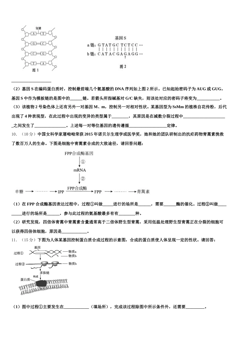 2025届辽宁省新民市第一高级中学生物高一下期末统考试题含解析_第3页