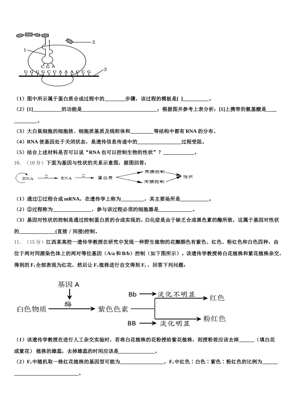 辽宁省沈阳二中2025届高一生物第二学期期末调研试题含解析_第3页