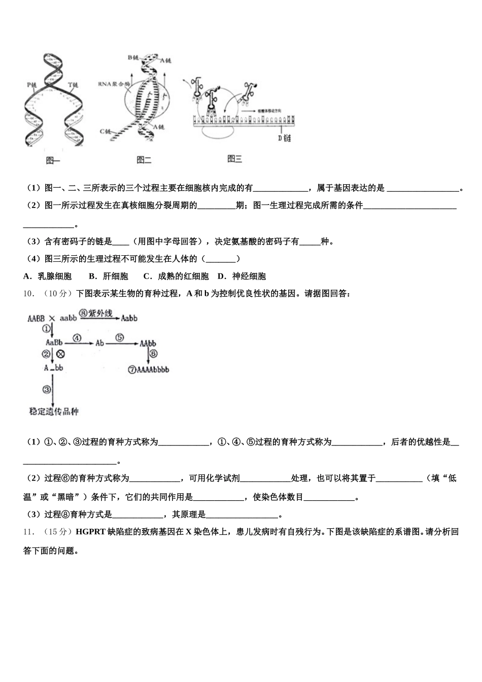 辽宁省本溪中学2024-2025学年生物高一下期末学业水平测试模拟试题含解析_第3页