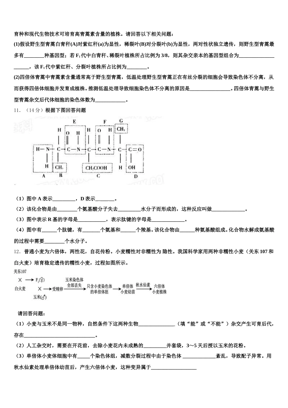 2024-2025学年丹东市重点中学高一生物第二学期期末检测模拟试题含解析_第3页