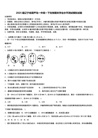 2025届辽宁省葫芦岛一中高一下生物期末学业水平测试模拟试题含解析