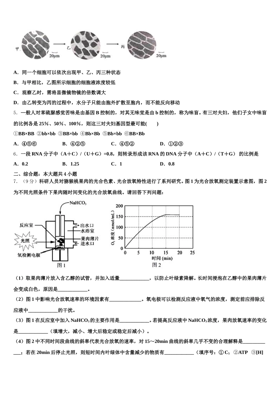 2025届辽宁省大连市大世界高级中学生物高一第二学期期末检测模拟试题含解析_第2页