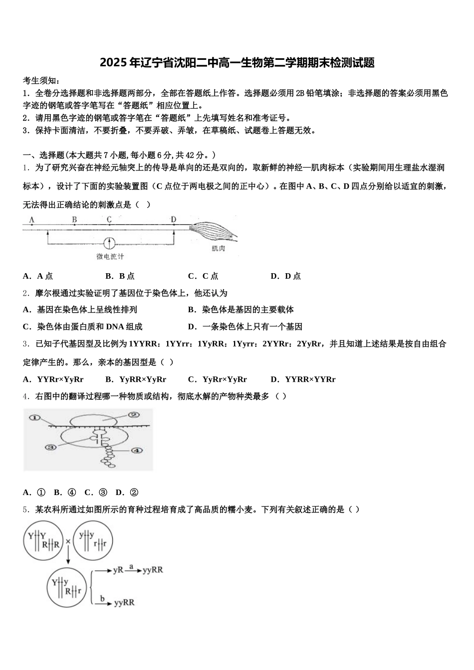 2025年辽宁省沈阳二中高一生物第二学期期末检测试题含解析_第1页