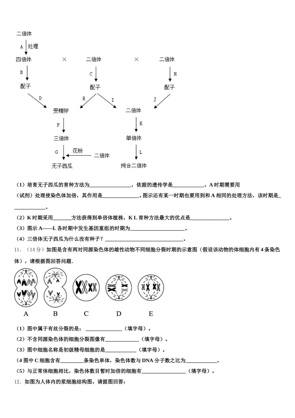 辽宁省凌源市2025年高一下生物期末考试模拟试题含解析_第3页