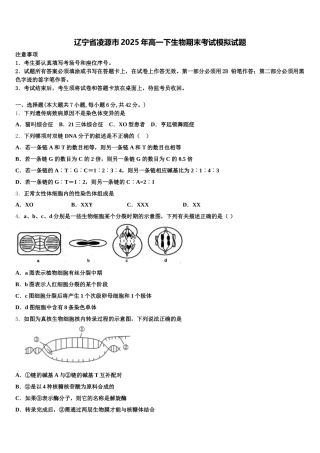 辽宁省凌源市2025年高一下生物期末考试模拟试题含解析