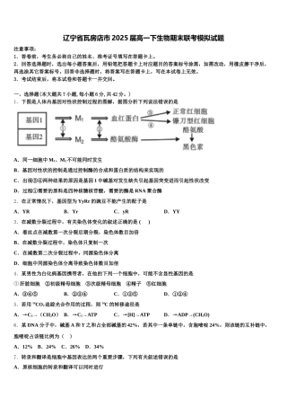 辽宁省瓦房店市2025届高一下生物期末联考模拟试题含解析