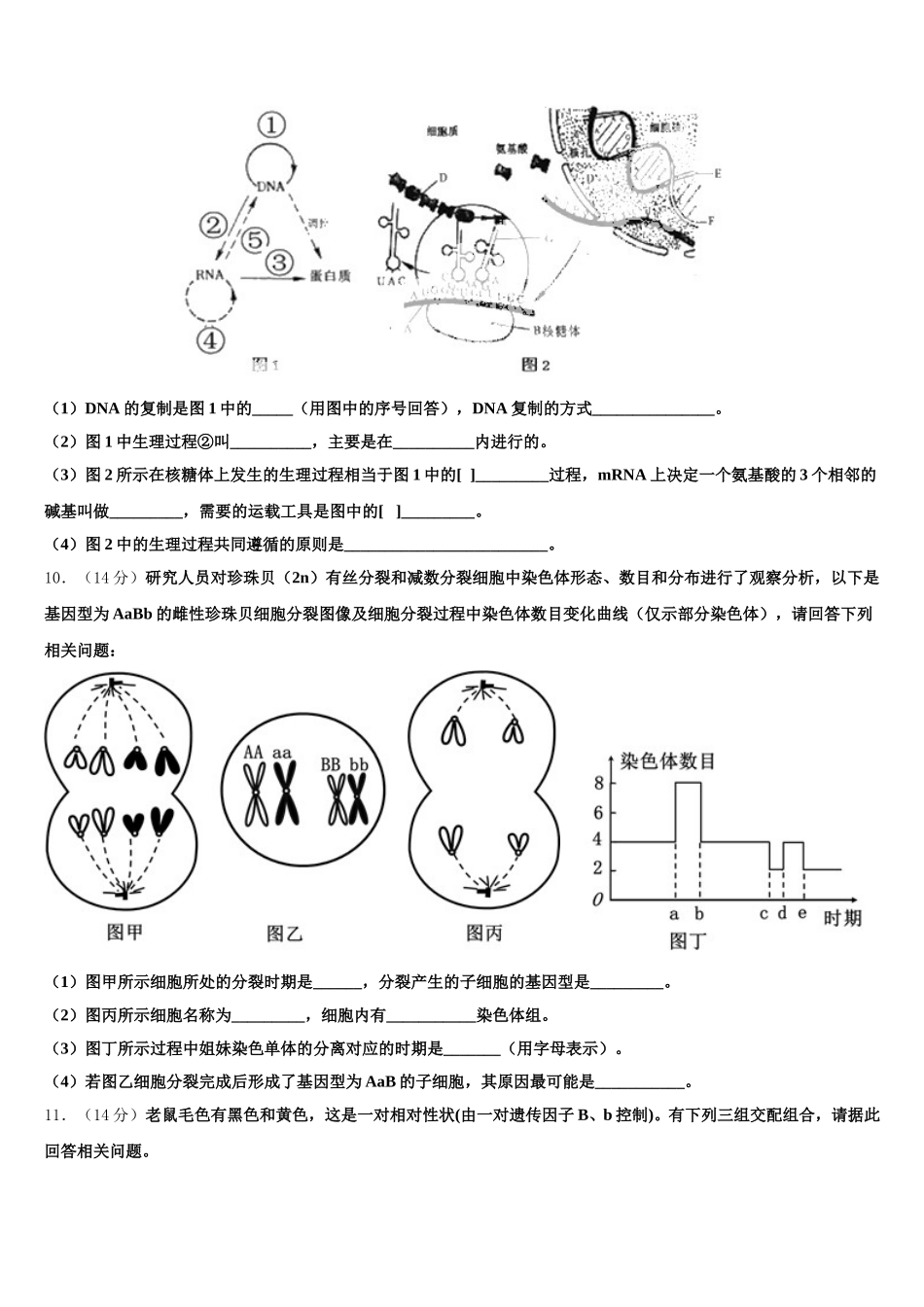 辽宁省瓦房店高级中学2024-2025学年生物高一下期末学业水平测试模拟试题含解析_第3页